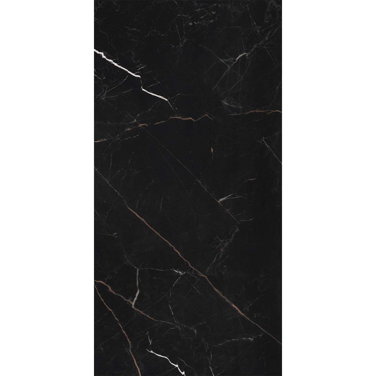 Florentina Marble Venice Black 3D Honed Porcelain Tile 60x120cm