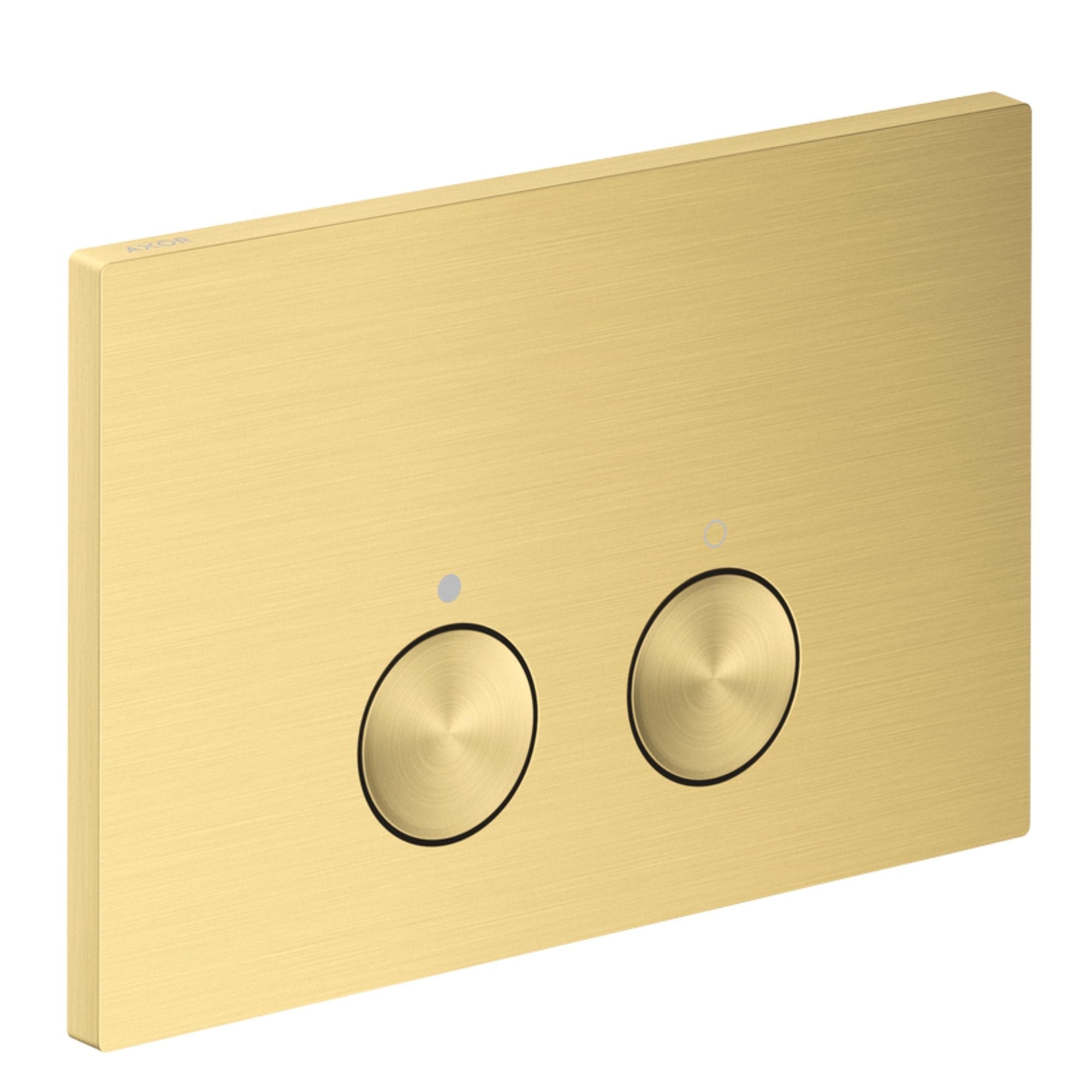 Axor Dual Flush Plate For Concealed Cistern