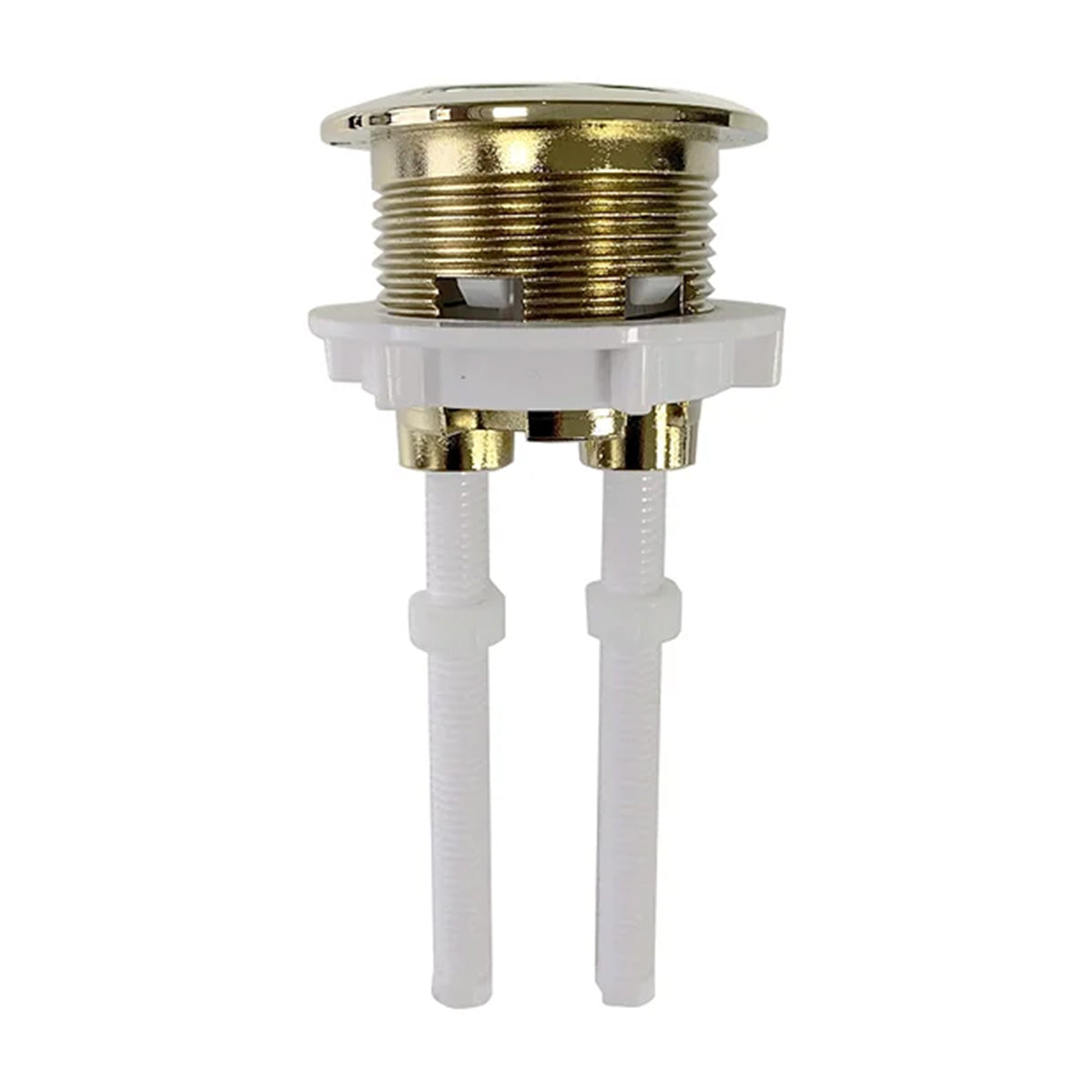 dual flush button brushed brass