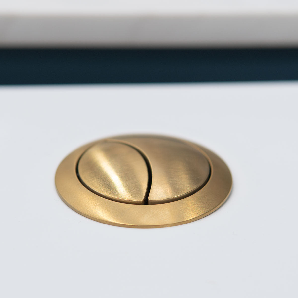 dual flush button brushed brass