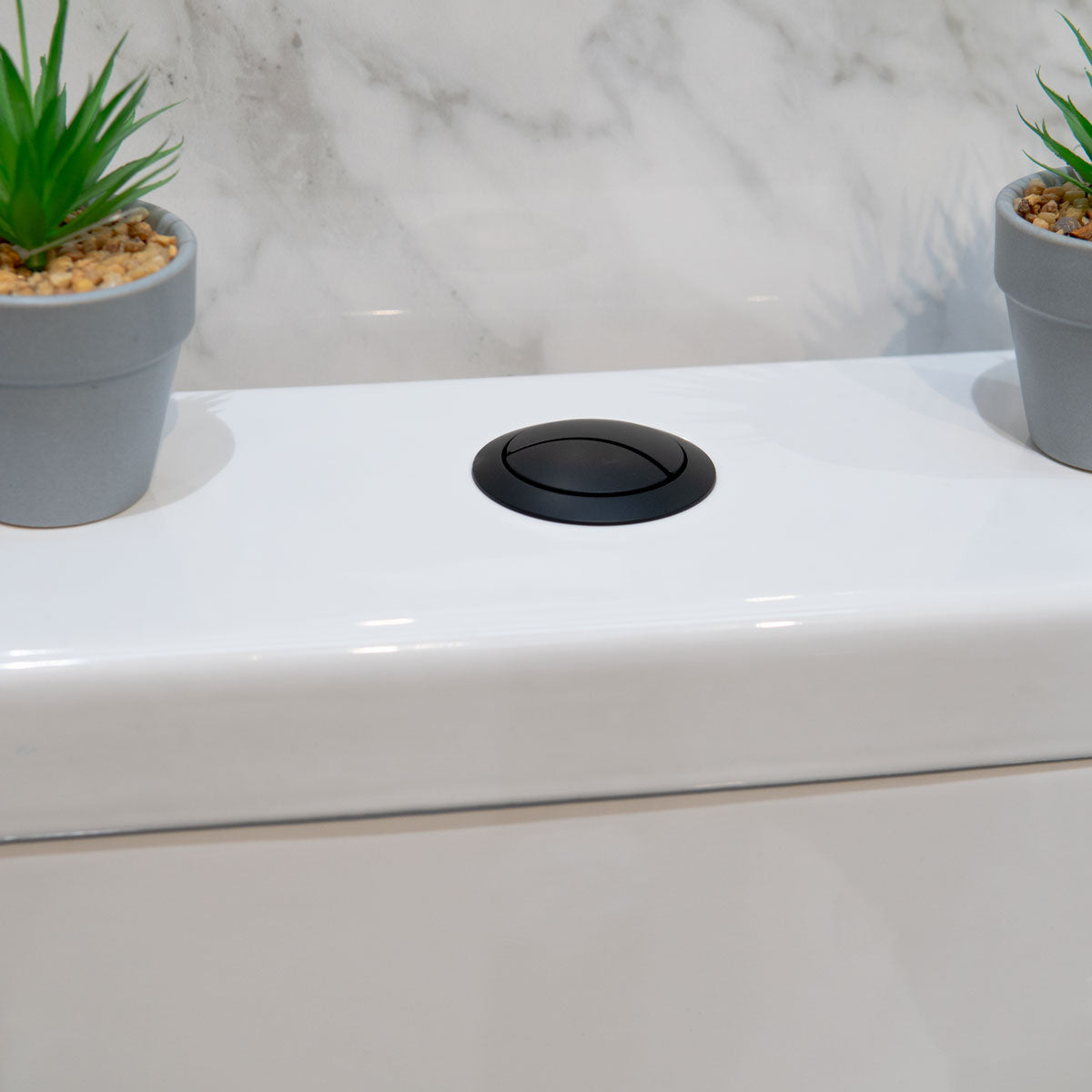 dual flush button matt black