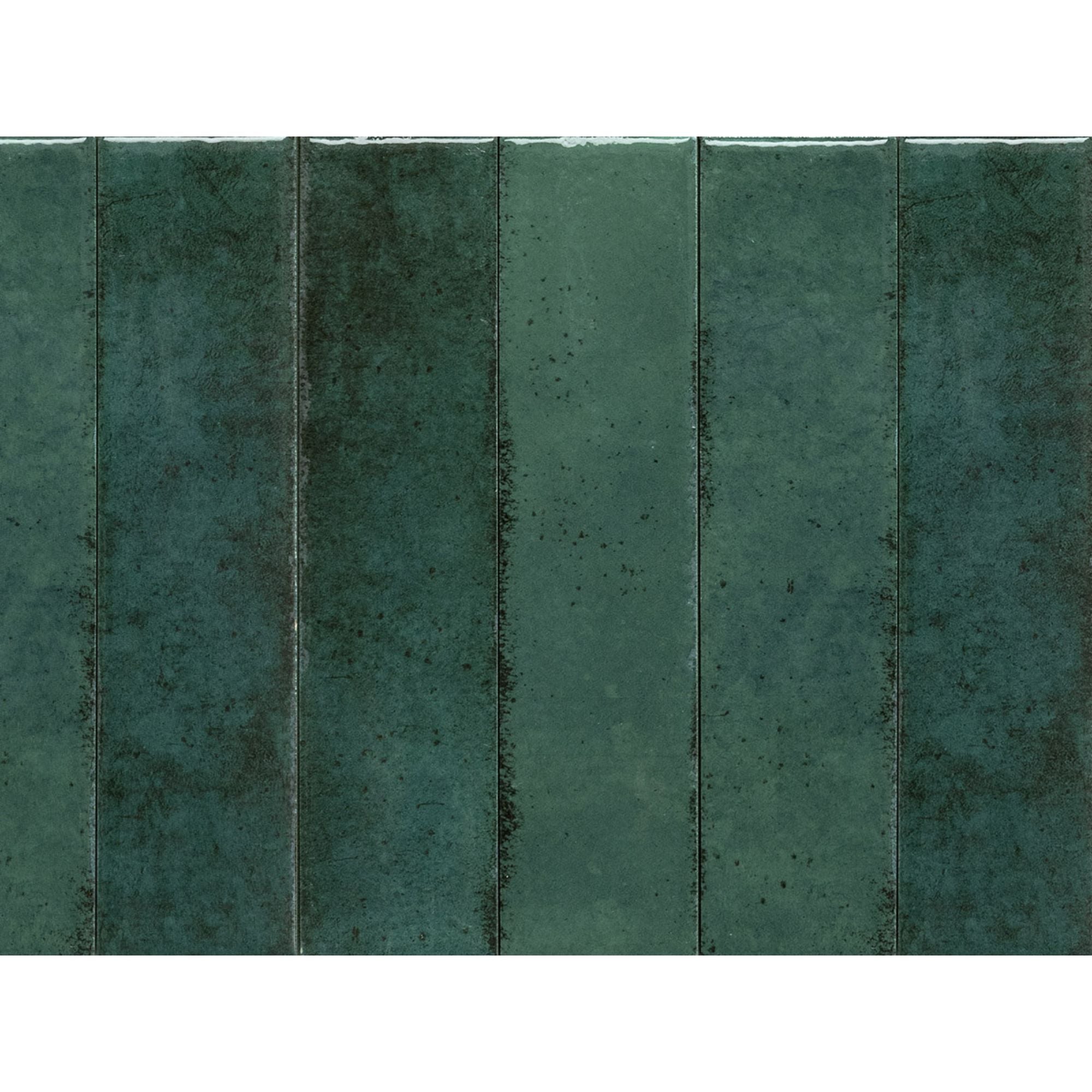 Medina Foresto Porcelain Tile 6x25cm Gloss