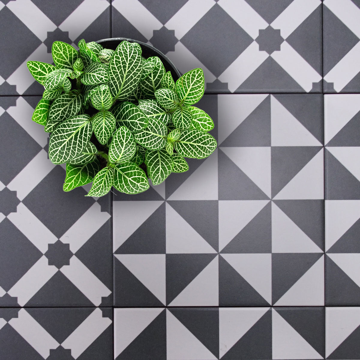 Vives Terrades Grafito Porcelain Tile 20 x 20cm