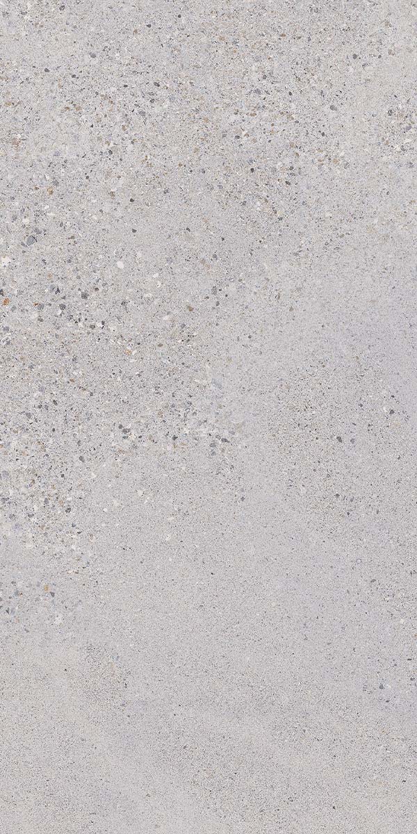 Lakestone Dolphin Porcelain Tile Polished 60x120cm