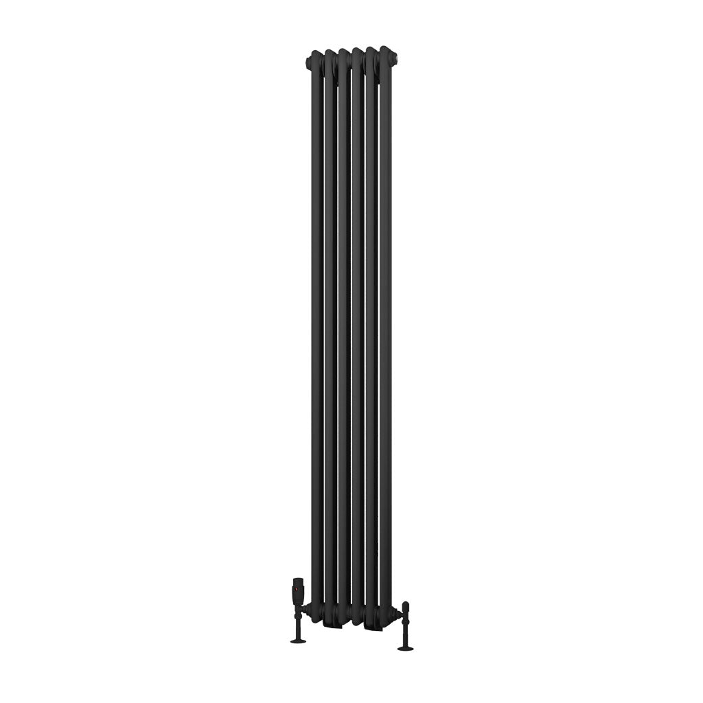 Rivassa Two Column Traditional Vertical Radiator Matt Anthracite Feet