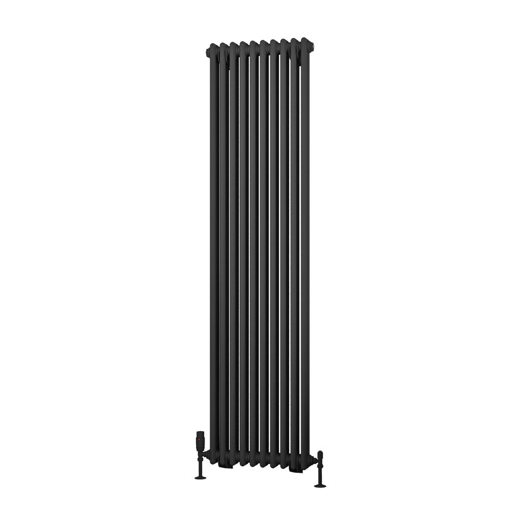 Rivassa Two Column Traditional Vertical Radiator Matt Anthracite Feet