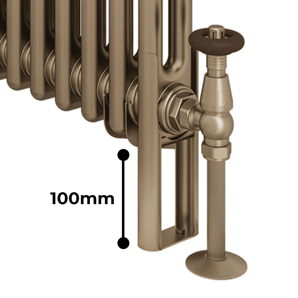 Rivassa Two Column Traditional Vertical Radiator Matt Anthracite Feet