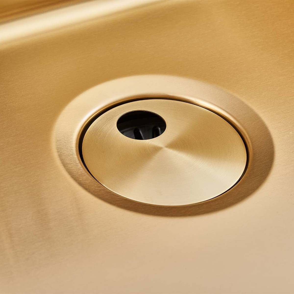 Foster Skin Kitchen Sink 530 Gold PVD Close Up