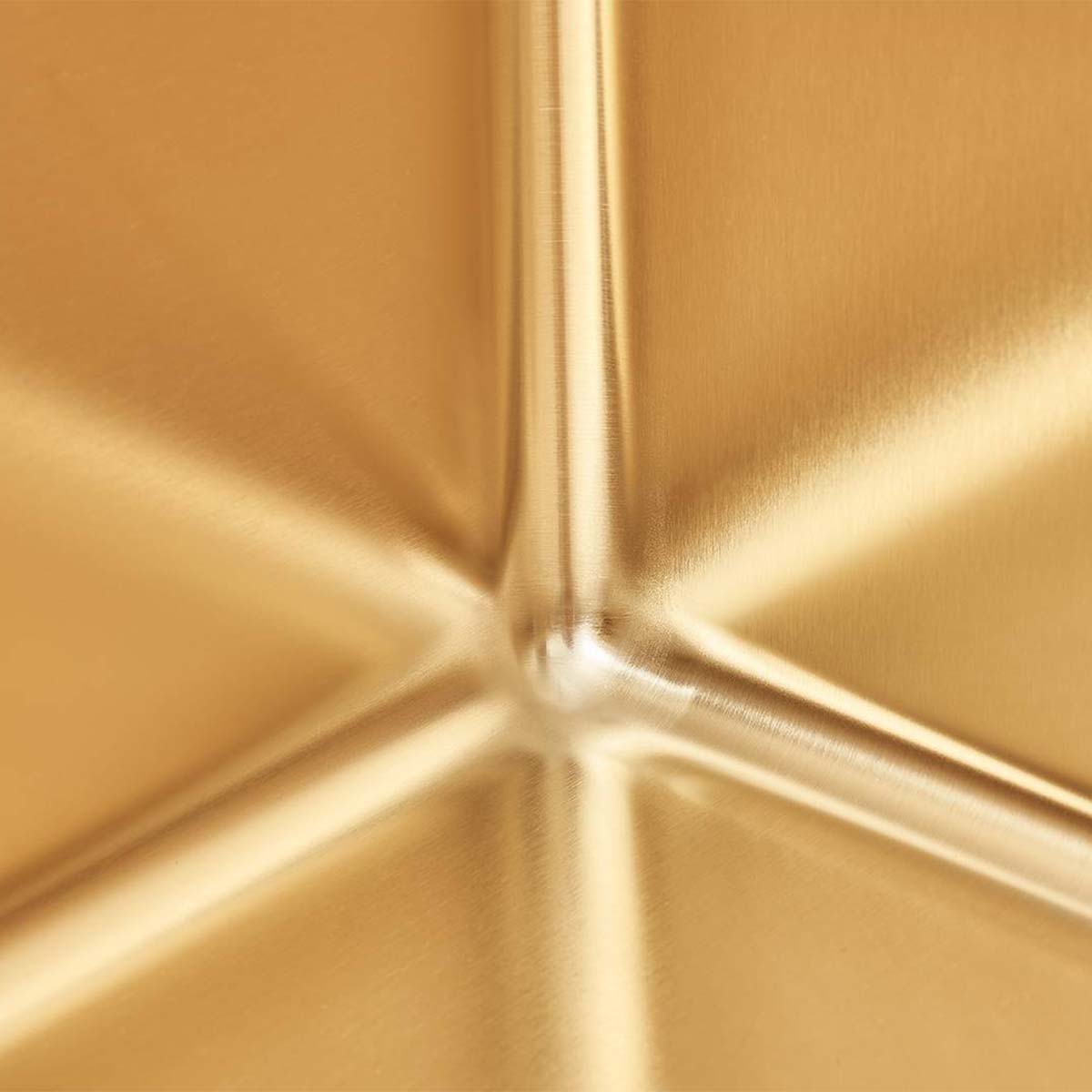 Foster Skin Kitchen Sink 530 Gold PVD Close Up