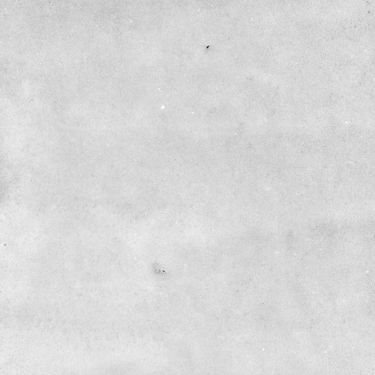 Afra White Decor Wall Tile 10x10cm Matt