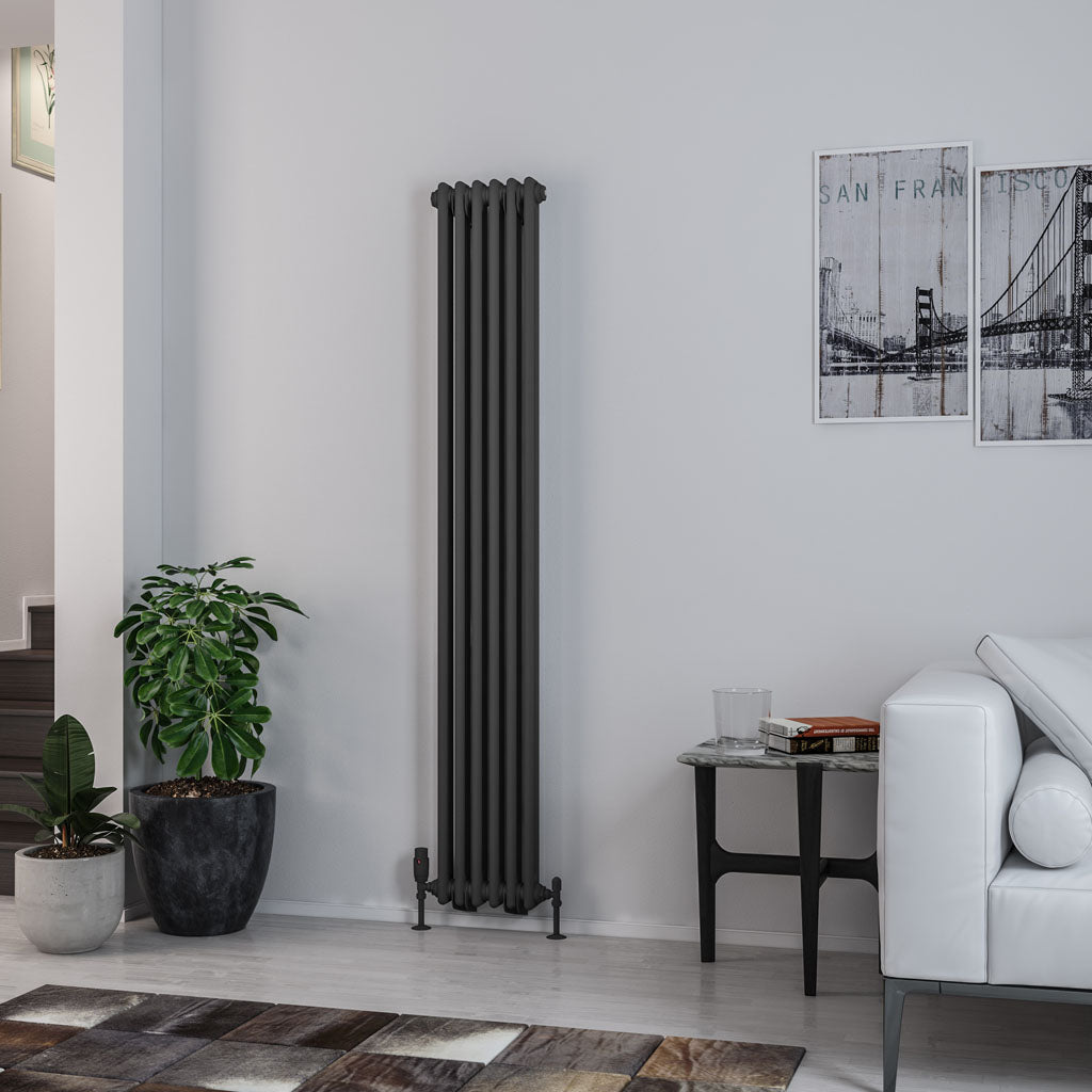 Luxe Radiator Rivassa Two Column Cast Iron Style Vertical Radiator Matt Anthracite ...