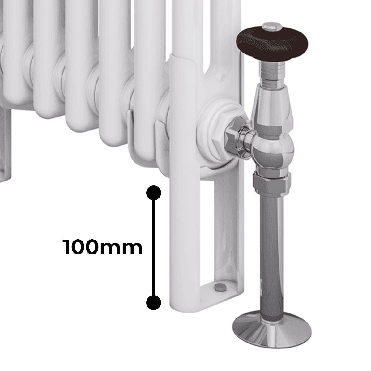 Rivassa Two Column Traditional Vertical Radiator Chrome Feet