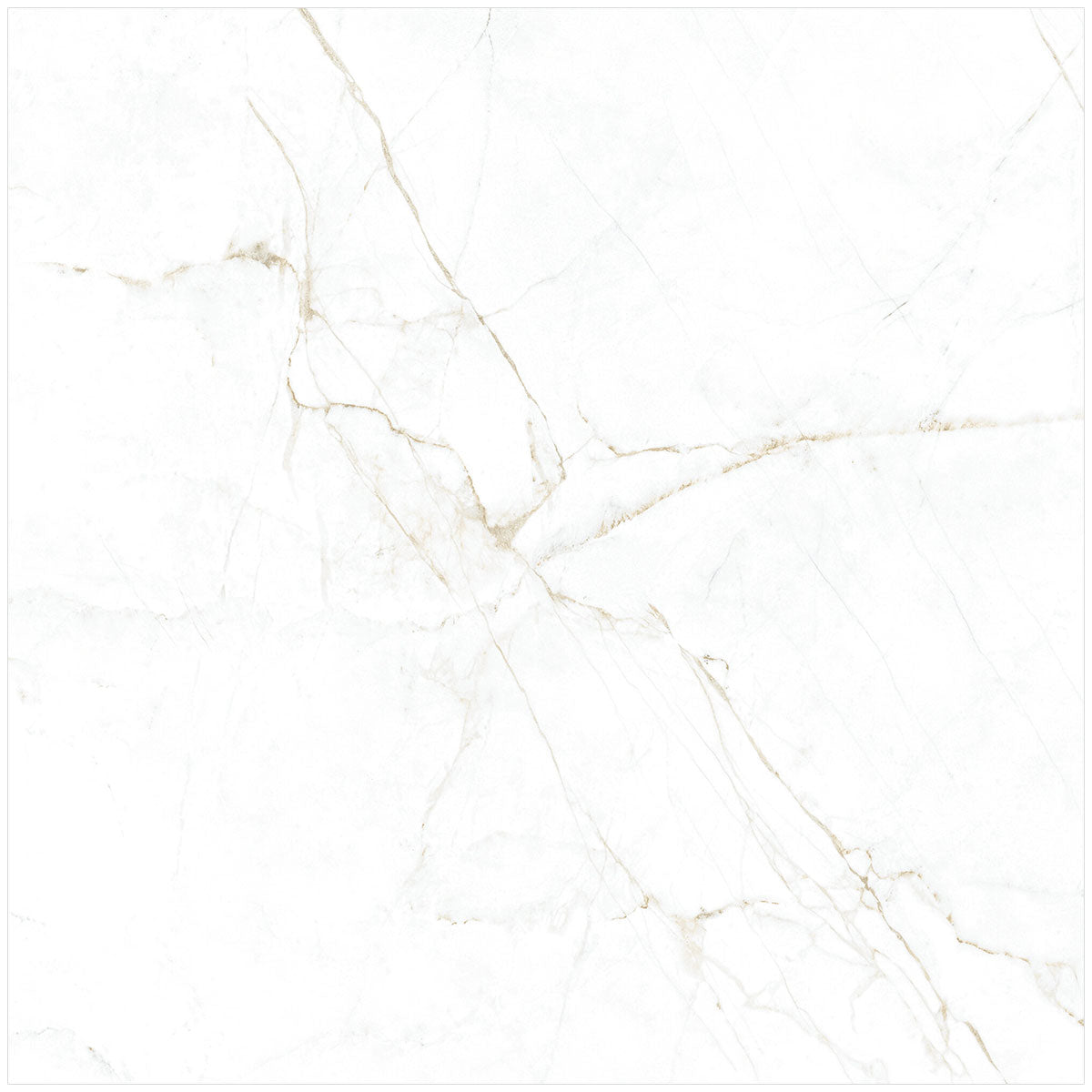 Dual 4D Shaped Marble Effect Porcelain Tile Matt 100x100cm